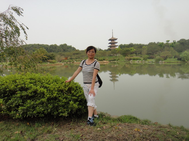 dsc00706.jpg