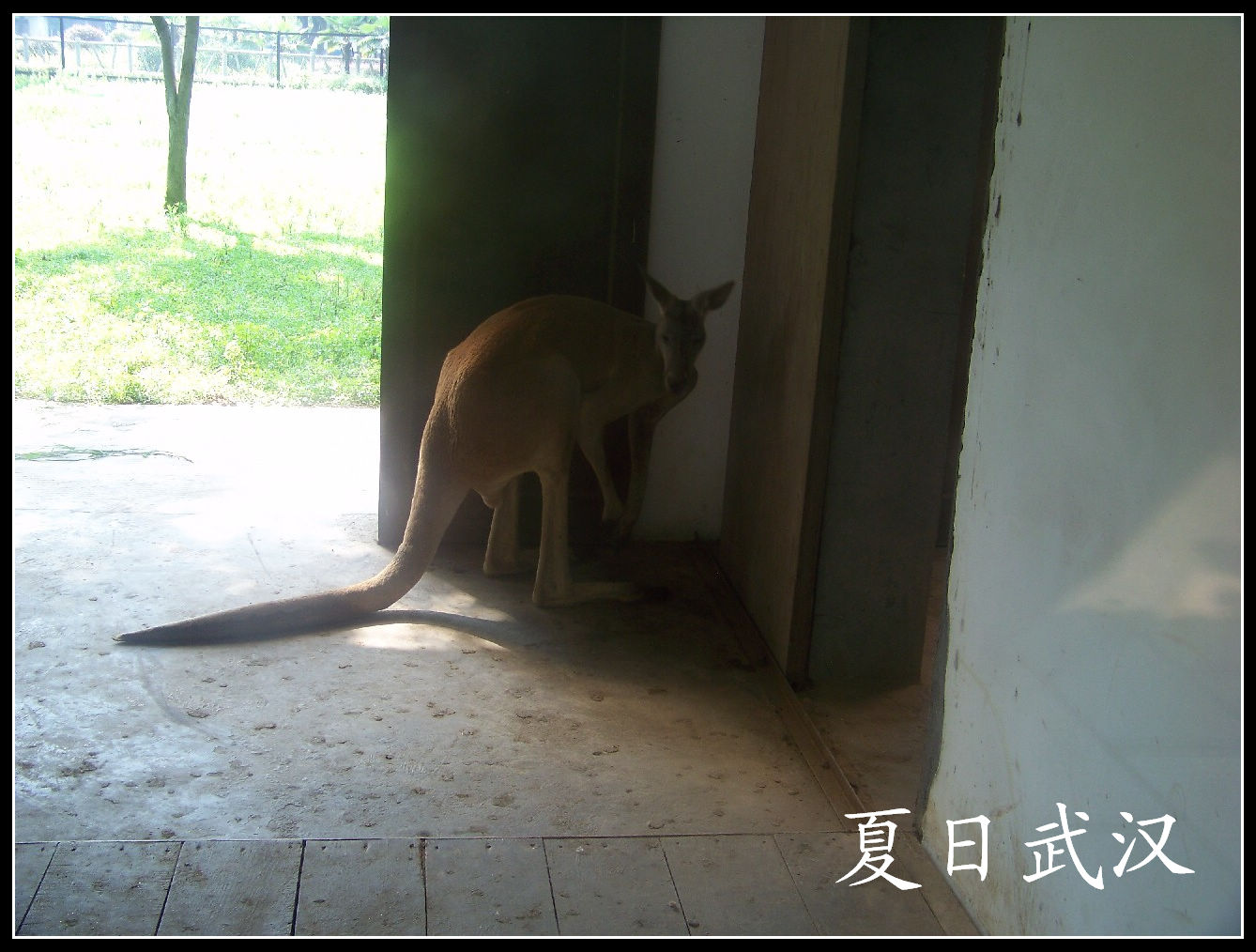20100725人԰m (16).jpg