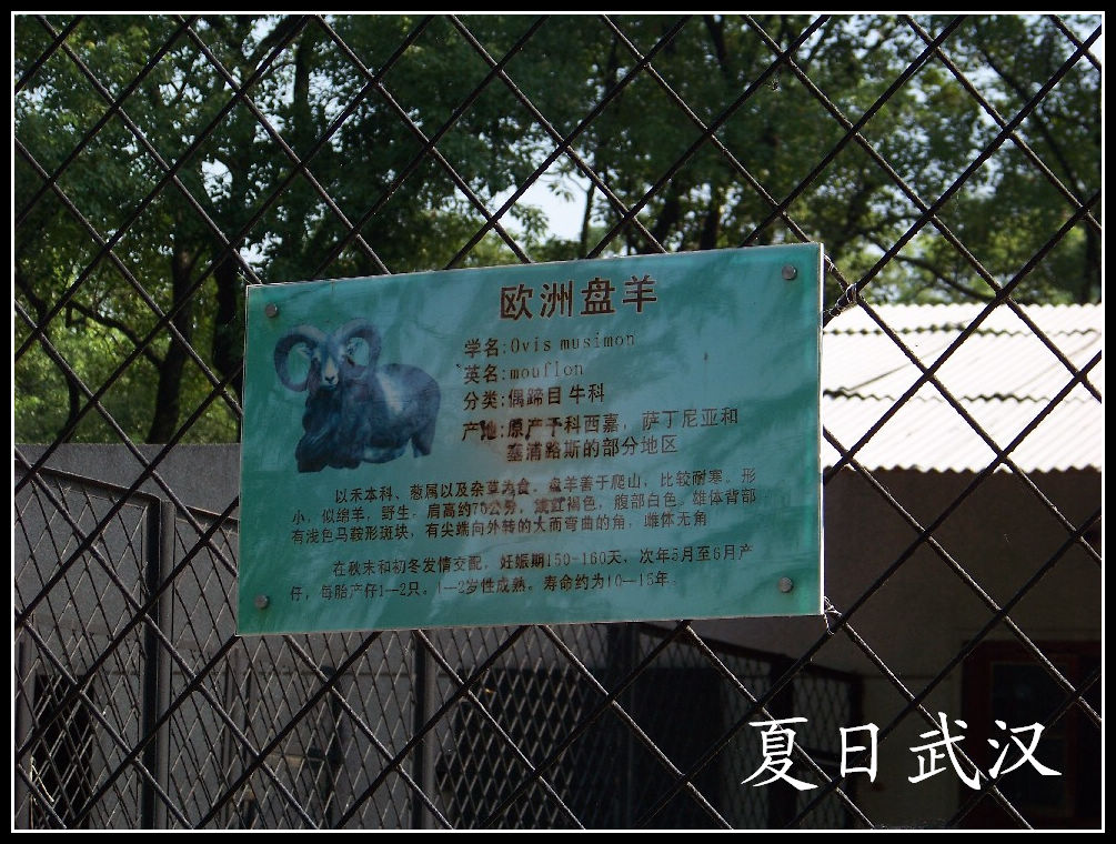 20100725人԰lŷ (11).jpg
