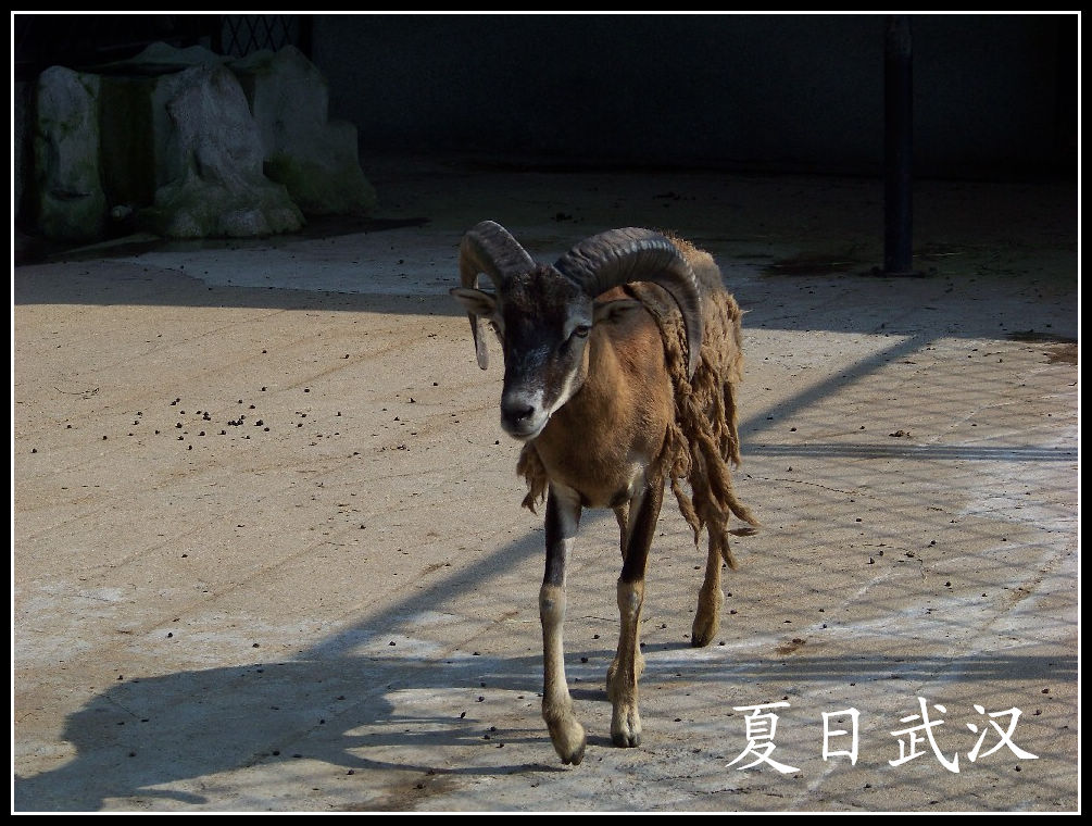 20100725人԰lŷ (13).jpg