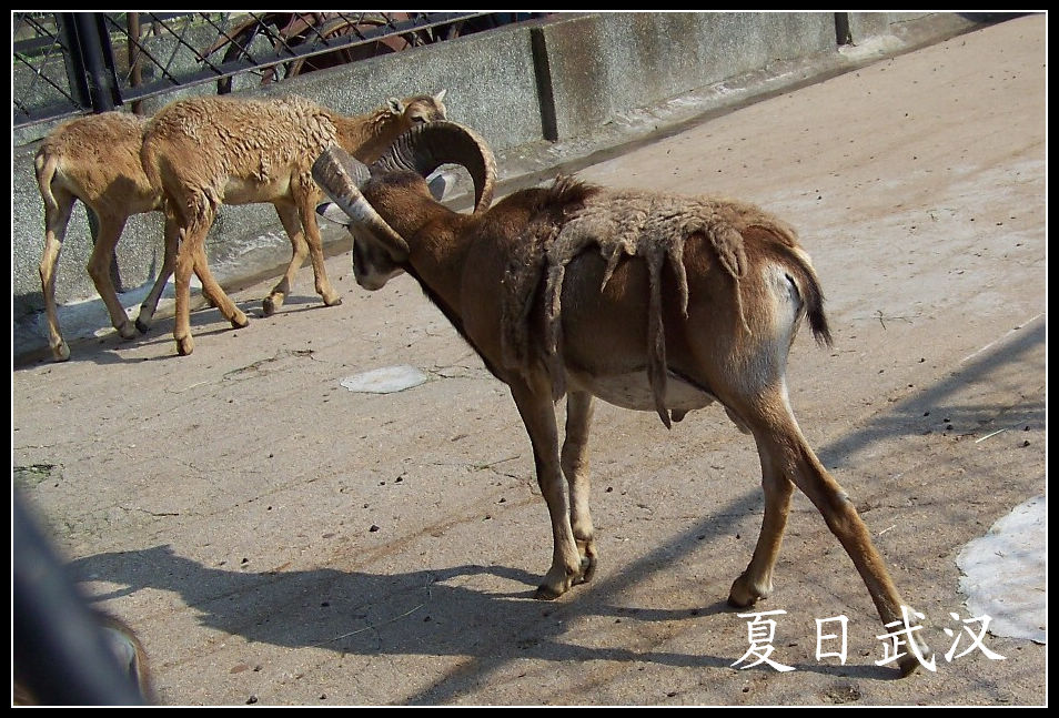 20100725人԰lŷ (14)x.jpg
