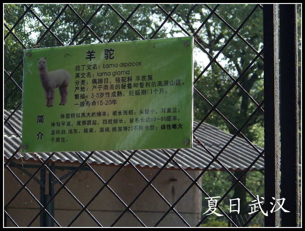 20100725人԰l (11).jpg
