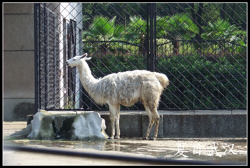 20100725人԰l (12).jpg