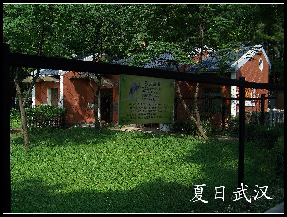 20100725人԰m (11).jpg