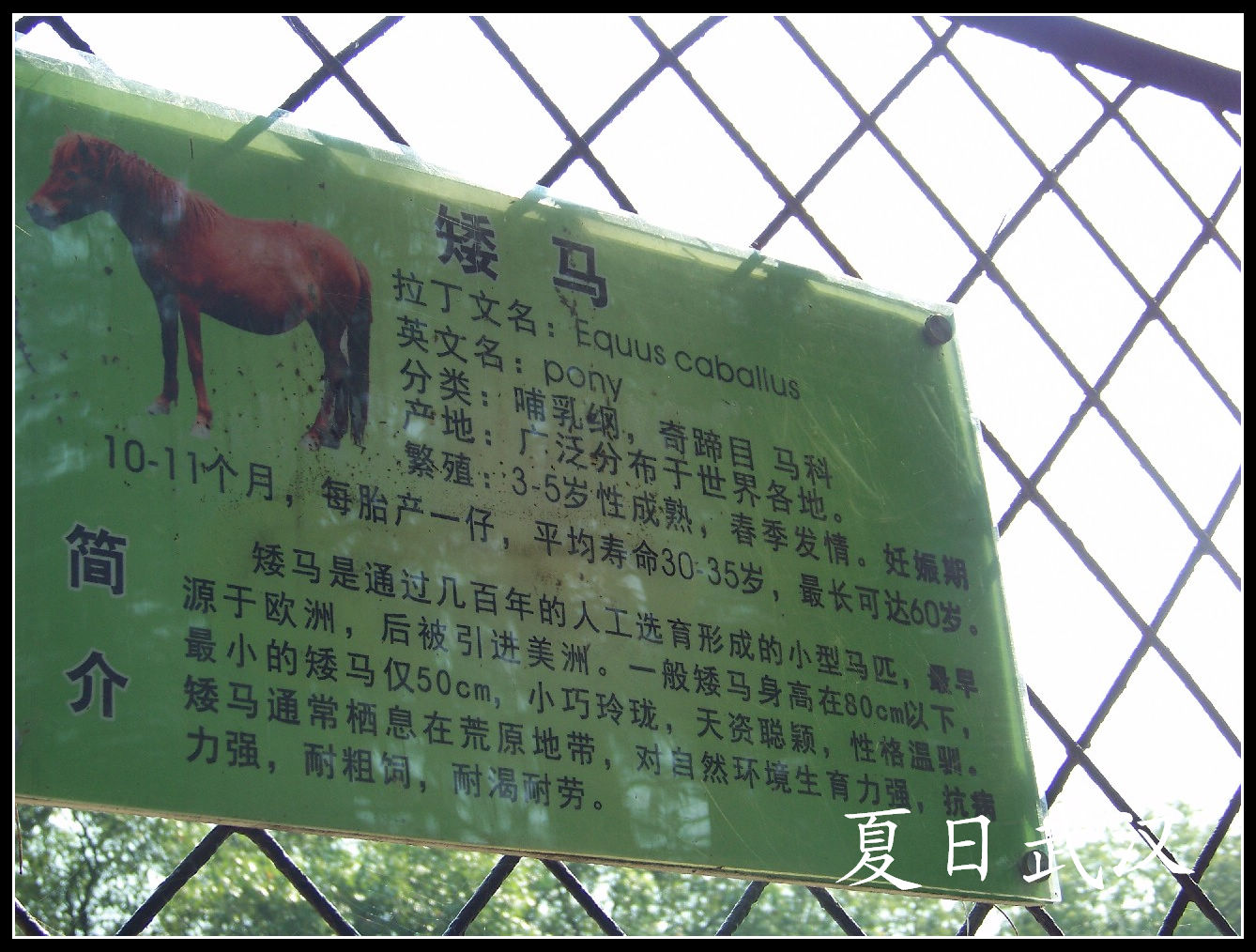 20100725人԰m (11).jpg