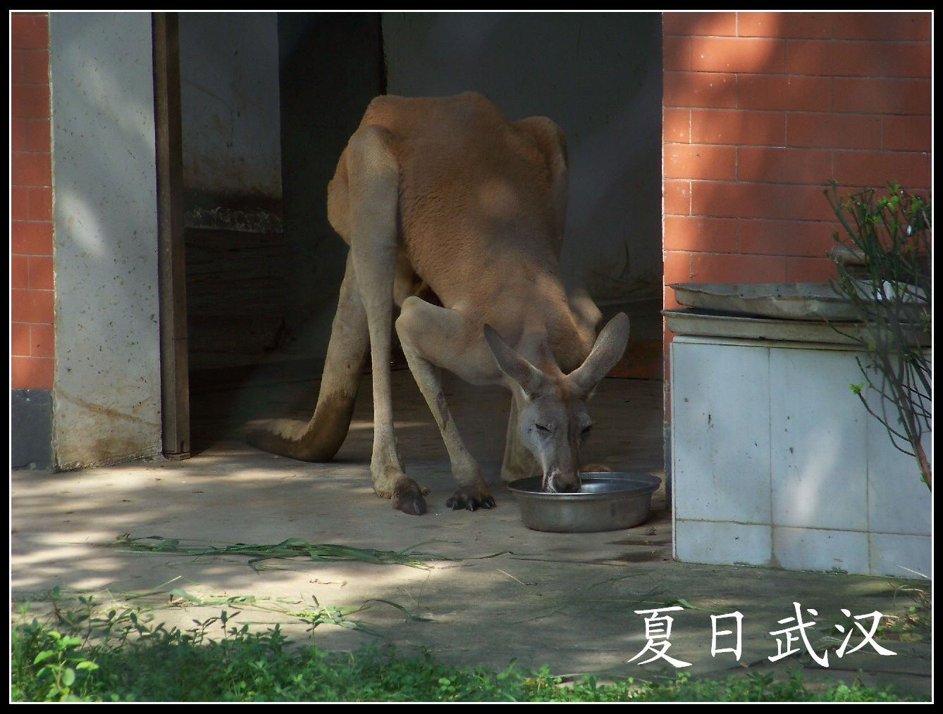 20100725人԰m (12).jpg