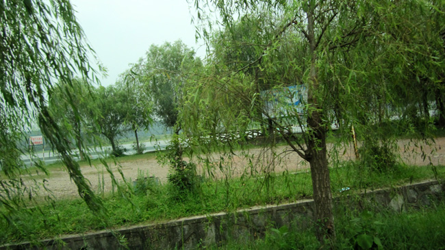 img_1475.jpg
