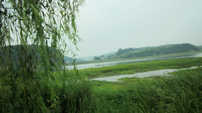 img_1479.jpg