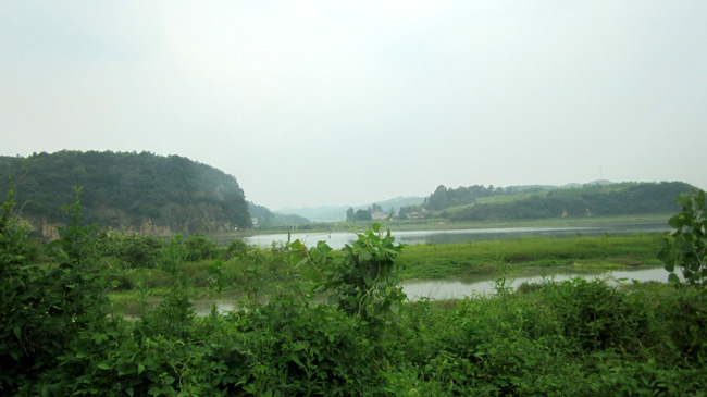 img_1480.jpg