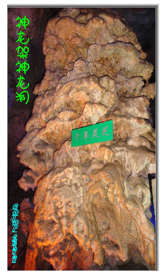 dsc01164.jpg