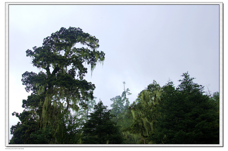 dsc_8681.jpg