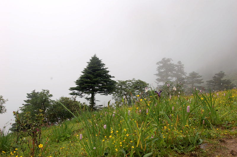 dsc_8699.jpg