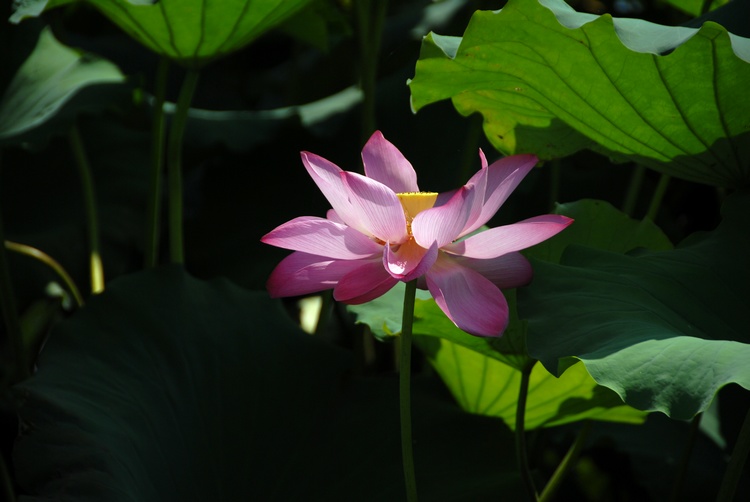 dsc_0014.jpg