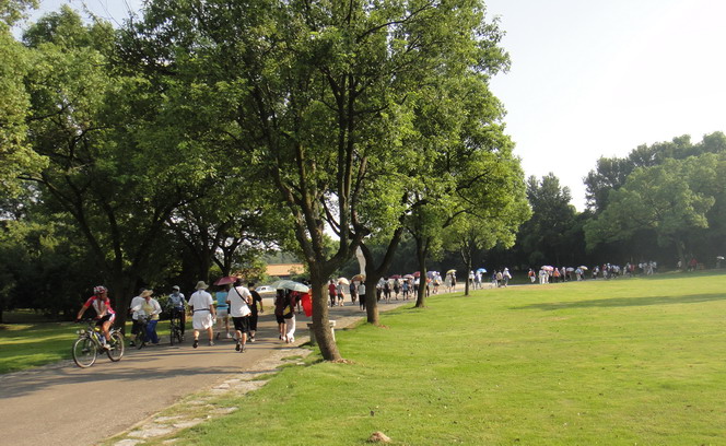 dsc00874.jpg