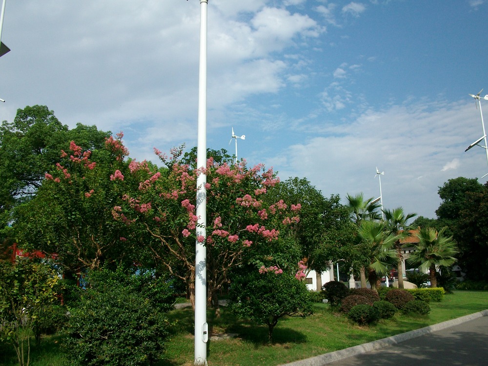 alim4011.jpg