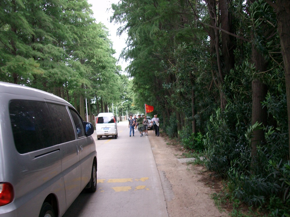 alim4050.jpg