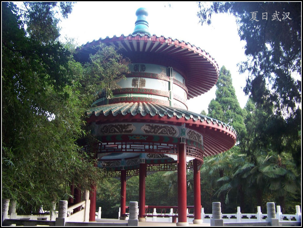 20100807ĥɽc (14).jpg