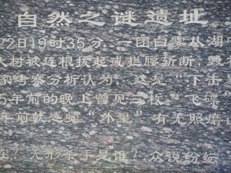 2010.8.225075.7.jpg
