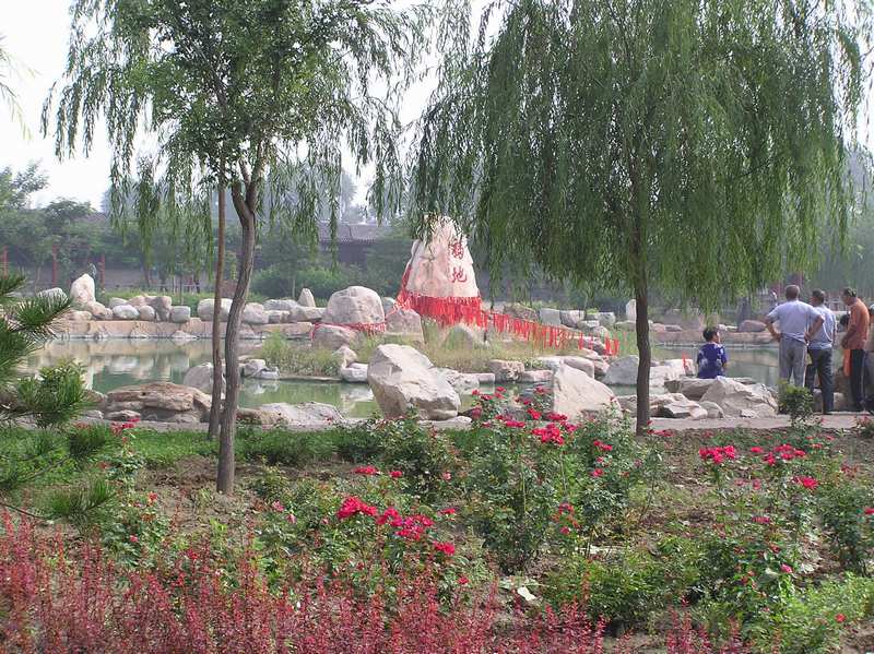 p1010041.jpg