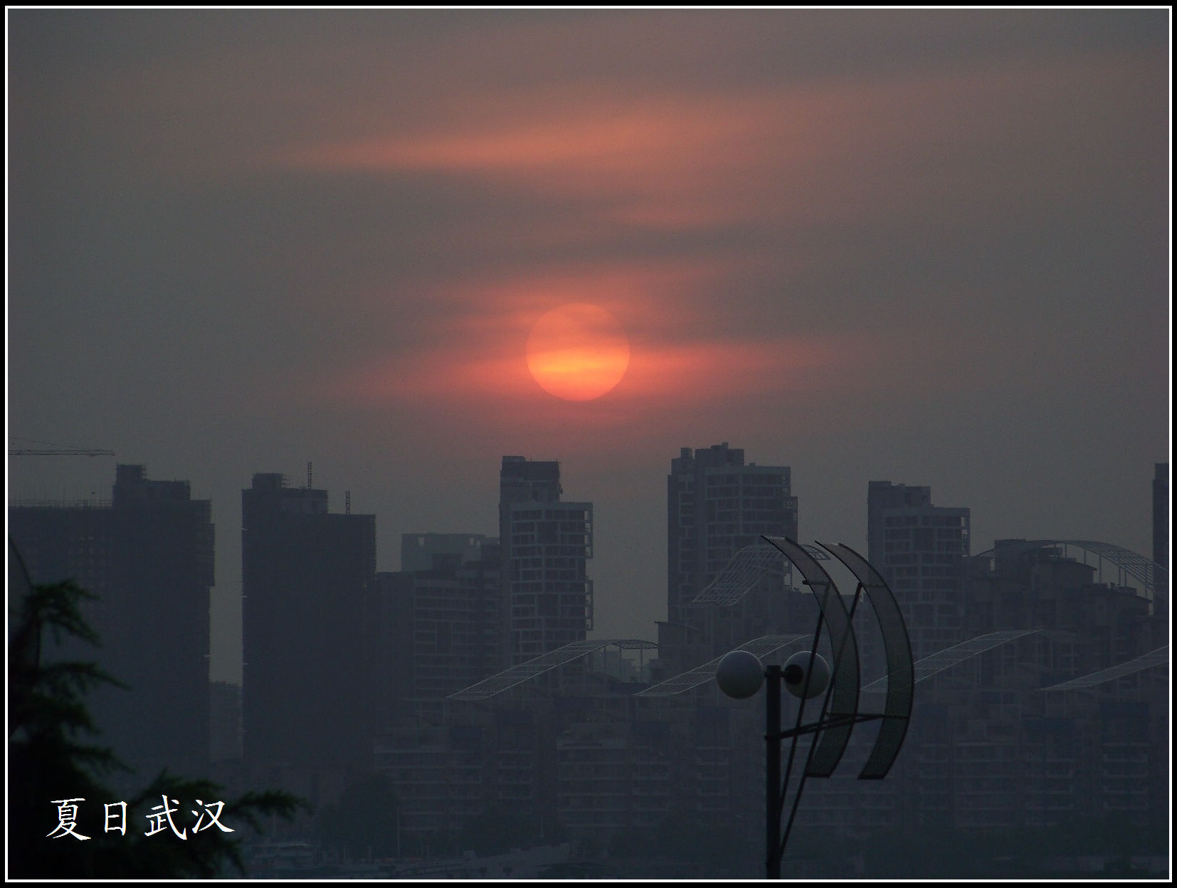 20100814a紨 (15)ճ.jpg