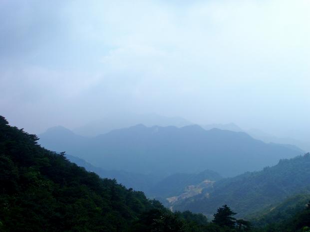p8060141.jpg