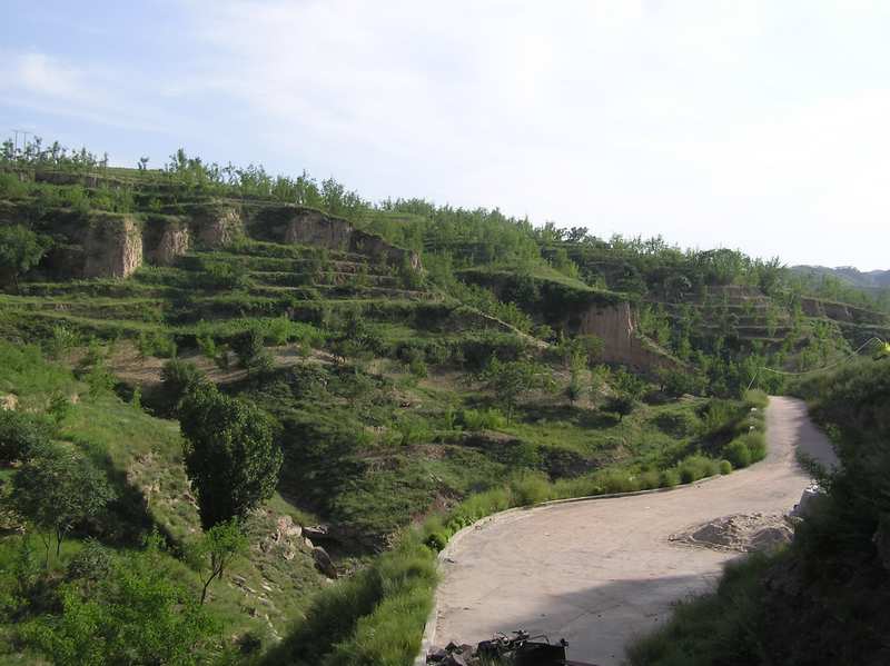 p1010184.jpg