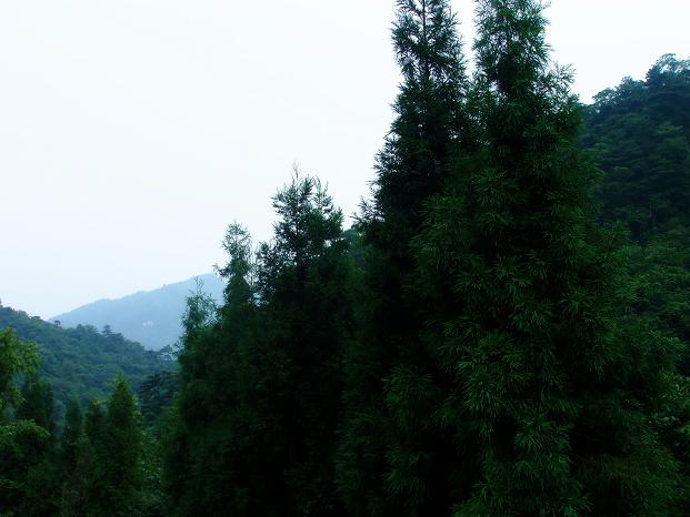p8060164.jpg