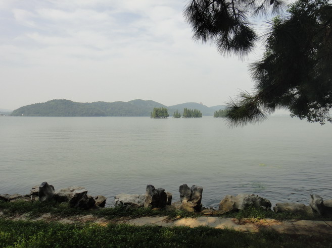 dsc00906.jpg