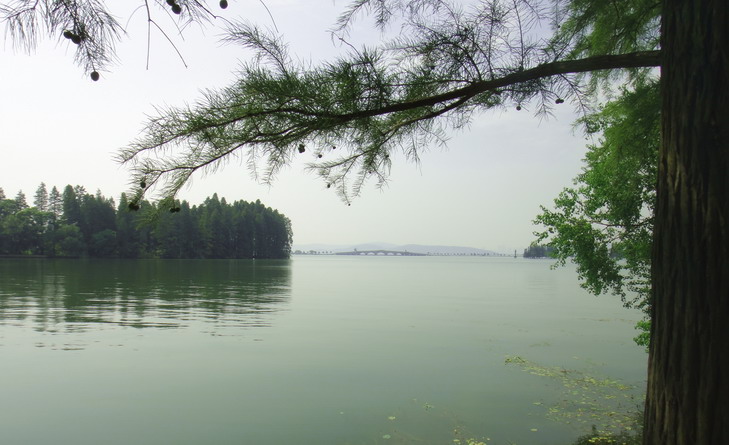 dsc00917.jpg