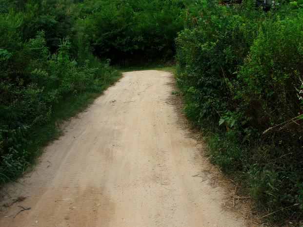 p8070195.jpg