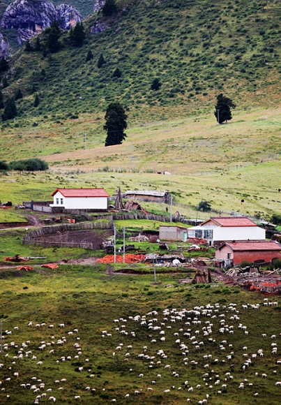 Ƭ 090.jpg