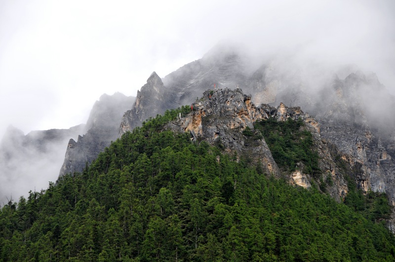 dsc_9660.jpg