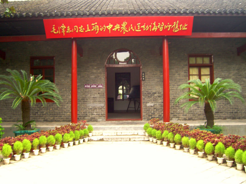 snc10012.jpg