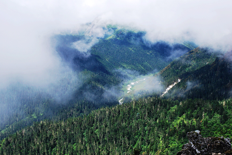 dsc_0340.jpg