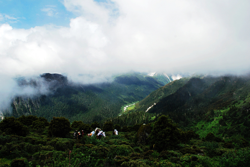 dsc_0348.jpg