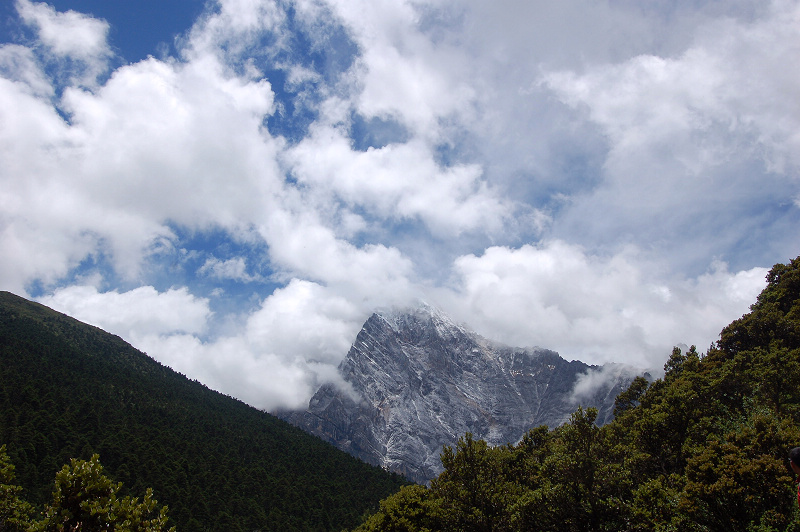dsc_8771.jpg