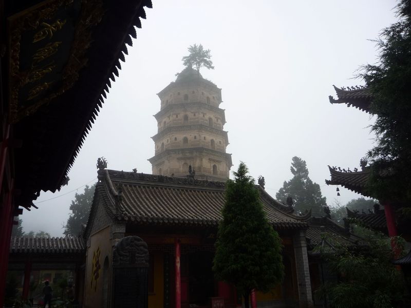 p1040010.jpg