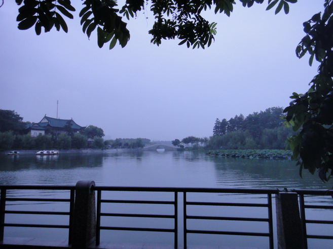 dsc01031.jpg