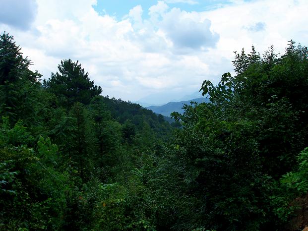 p8070248.jpg