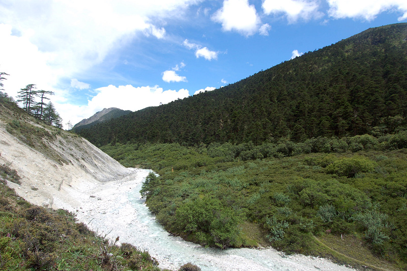 dsc_8785.jpg