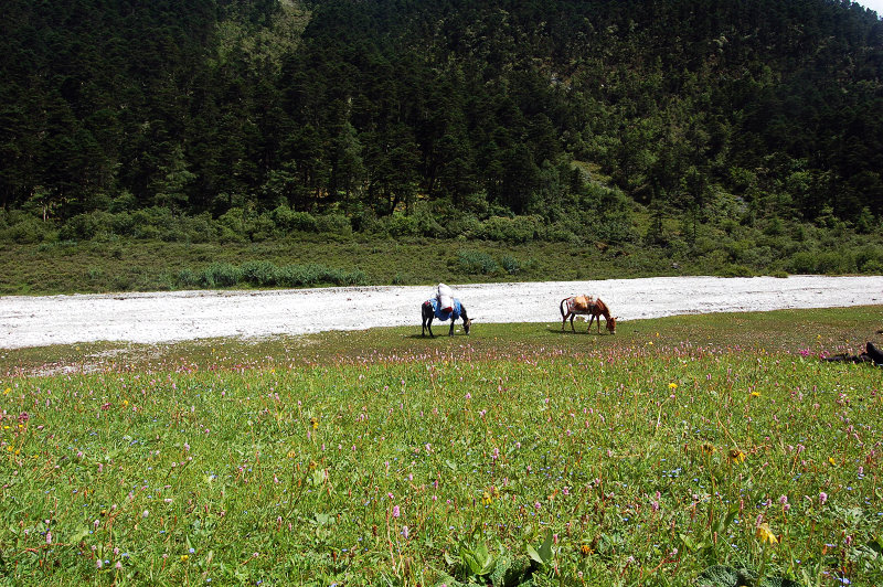 dsc_8802.jpg