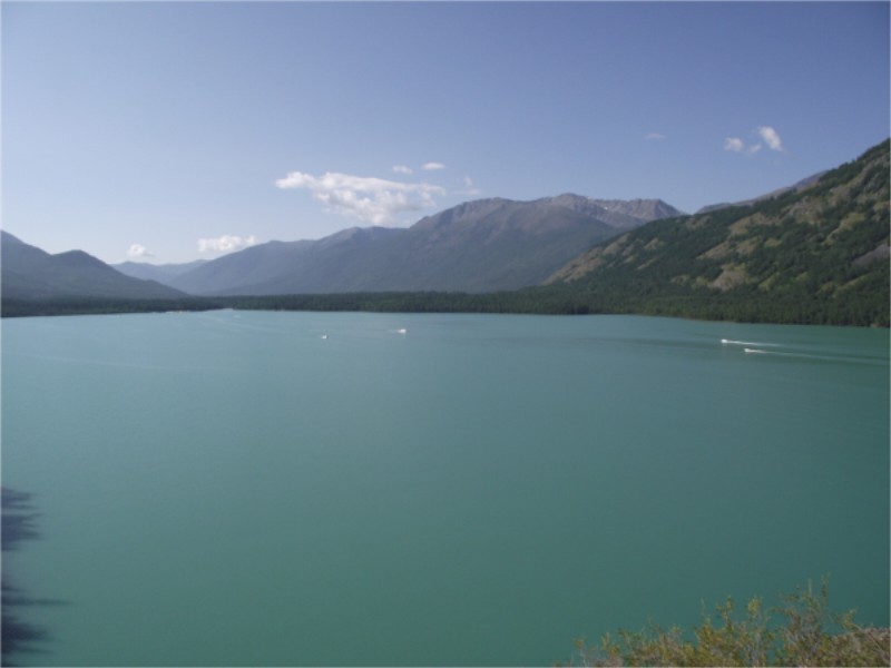 2010-0801 397_.jpg