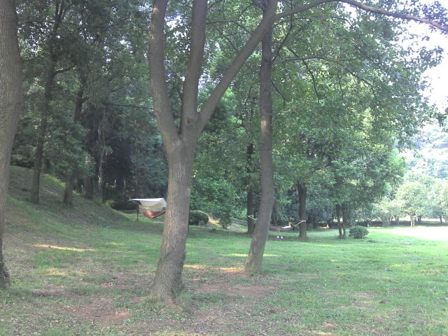 moto_20100829_091130871.jpg