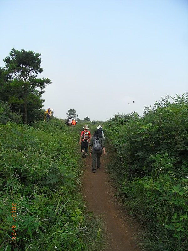 ar0018852.jpg