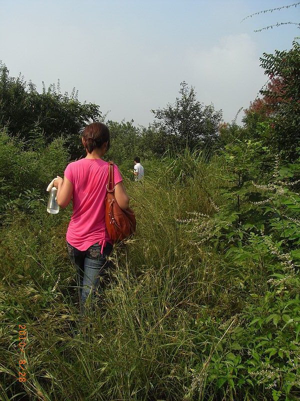 ar0018855.jpg