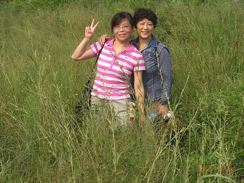 ar0018877.jpg