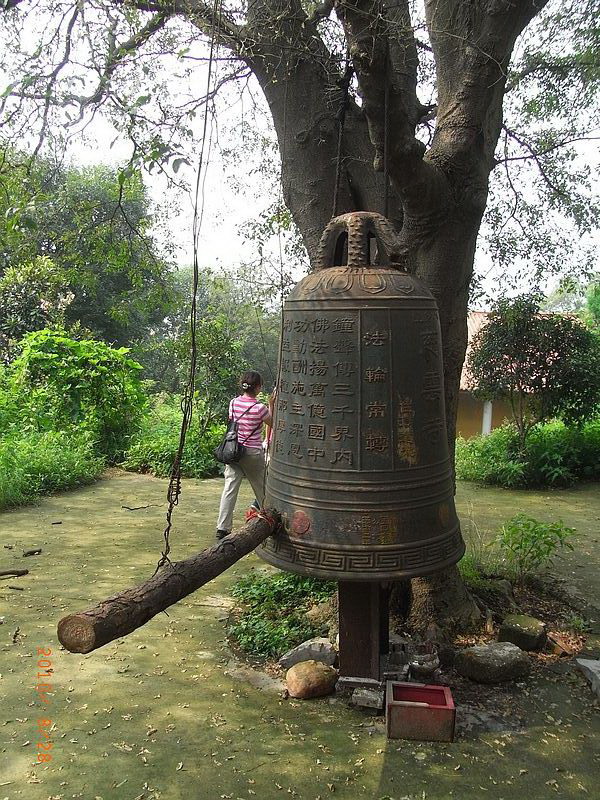 ar0018890.jpg
