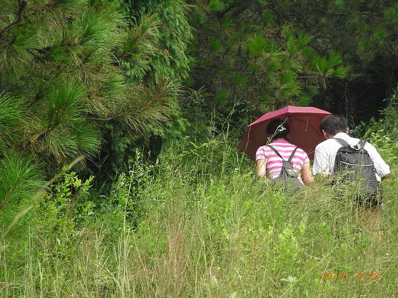 ar0018958.jpg