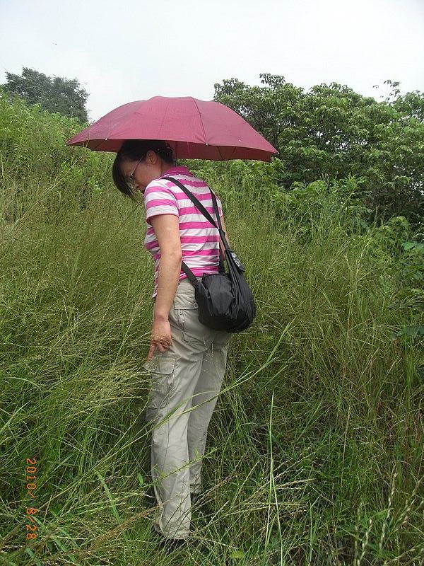 ar0018960.jpg