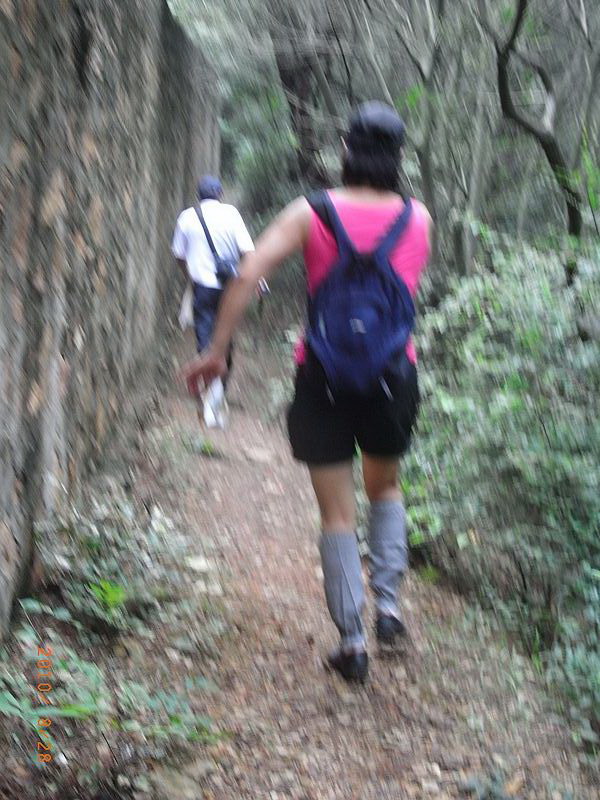 ar0018970.jpg